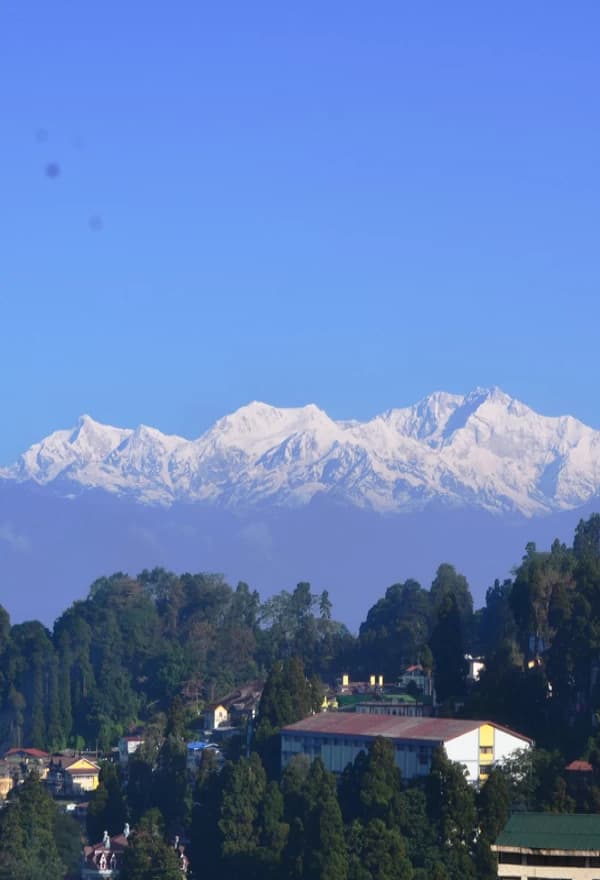 Tours and Holidays Packages in Darjeeling
