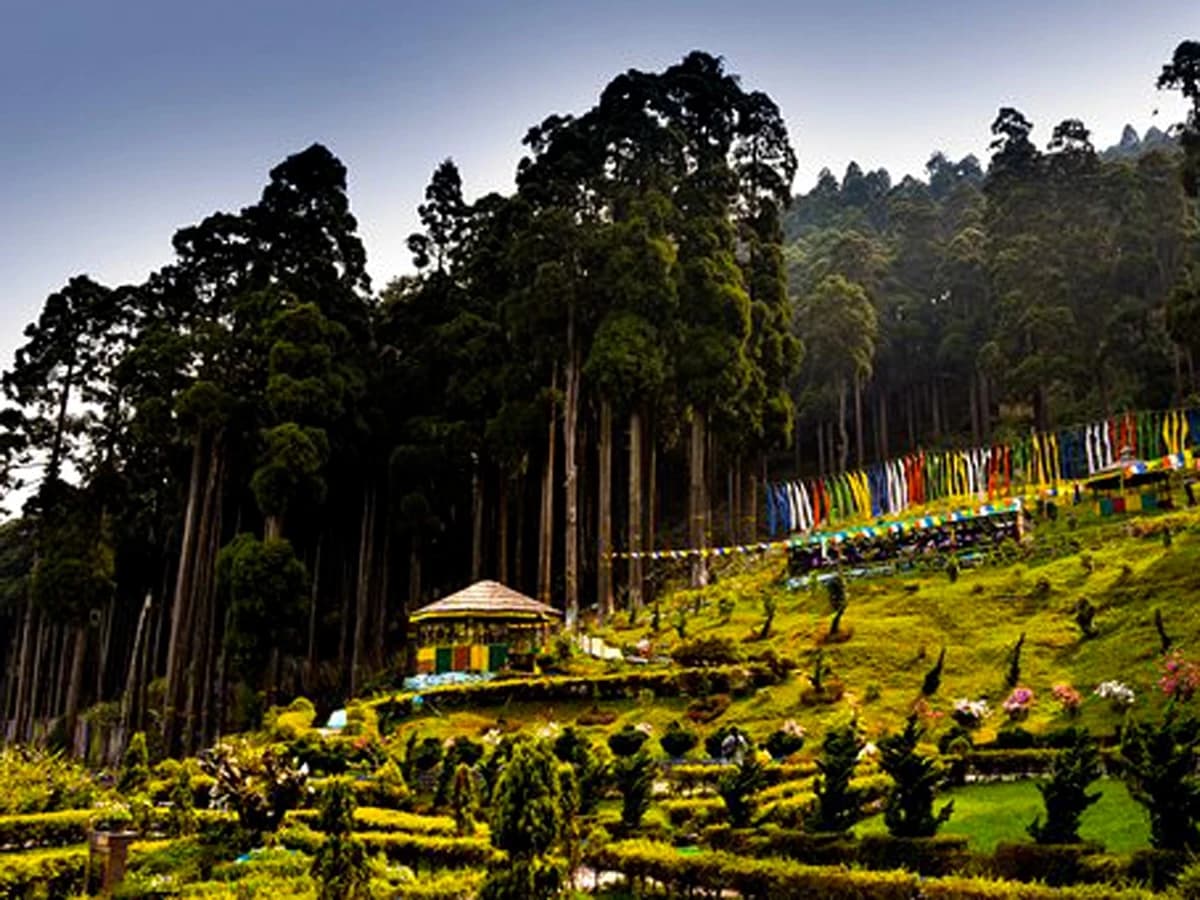 Takdah Tinchuley and Lamahatta Day Tour