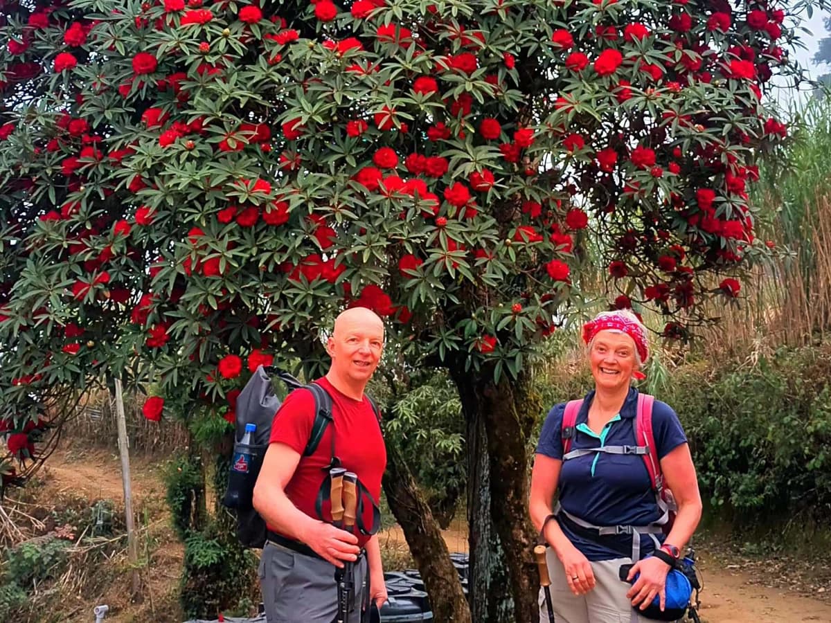 Darjeeling Sandakphu Timburey Trek - 4 Days