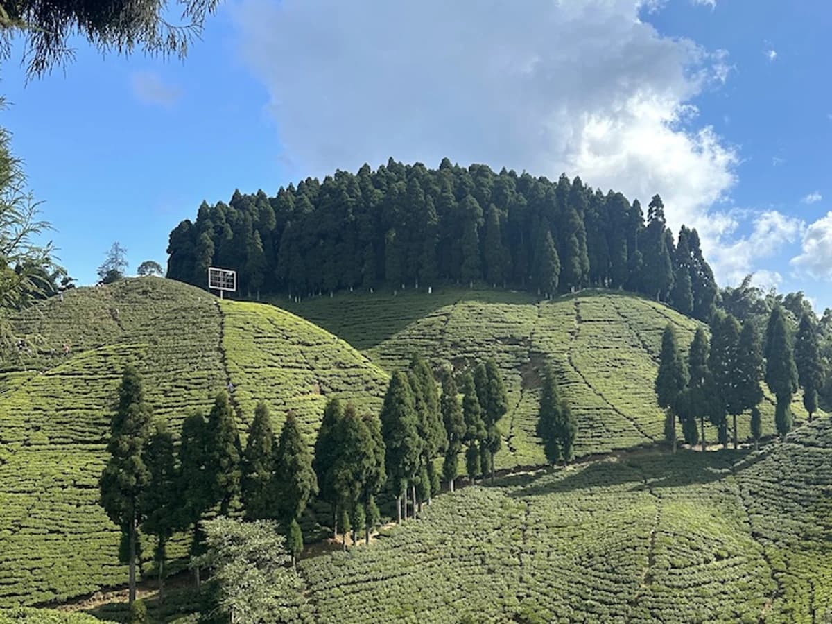 Mirik lake Day Tour from Darjeeling