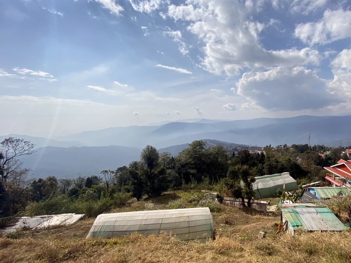 Darjeeling Senchal Wildlife Sanctuary Sonada Hike - 1 Day