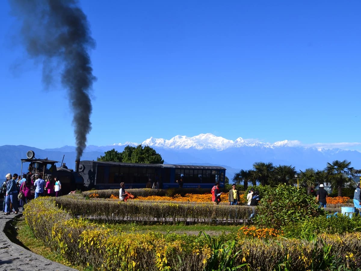 The Queen of Hills , Darjeeling Tour Package