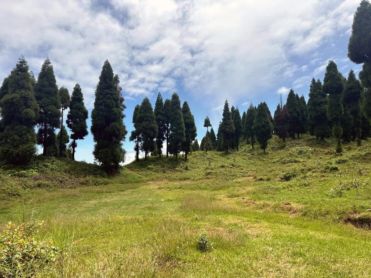 White Orchid Trail Day Hike in Kurseong
