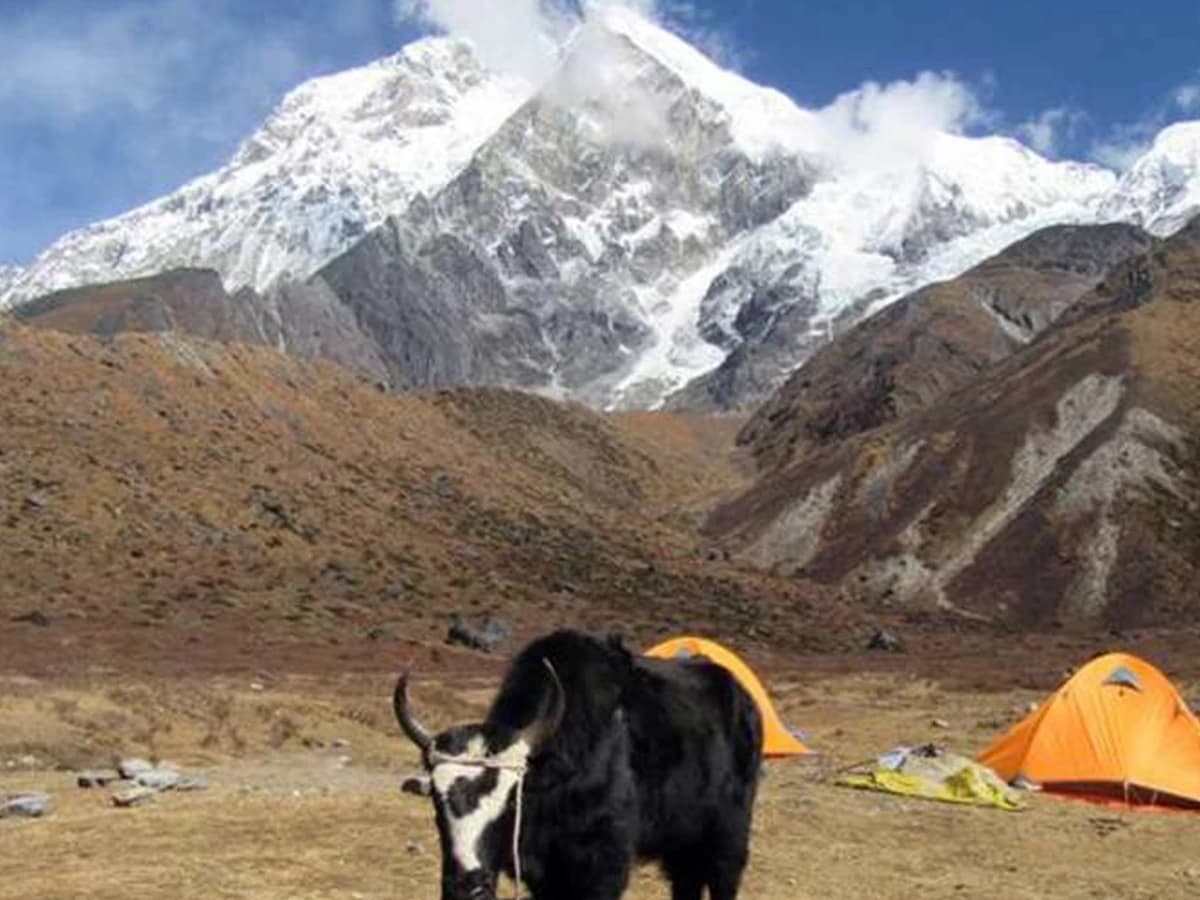 Mt. Thingchinkhang Expeditions in Sikkim