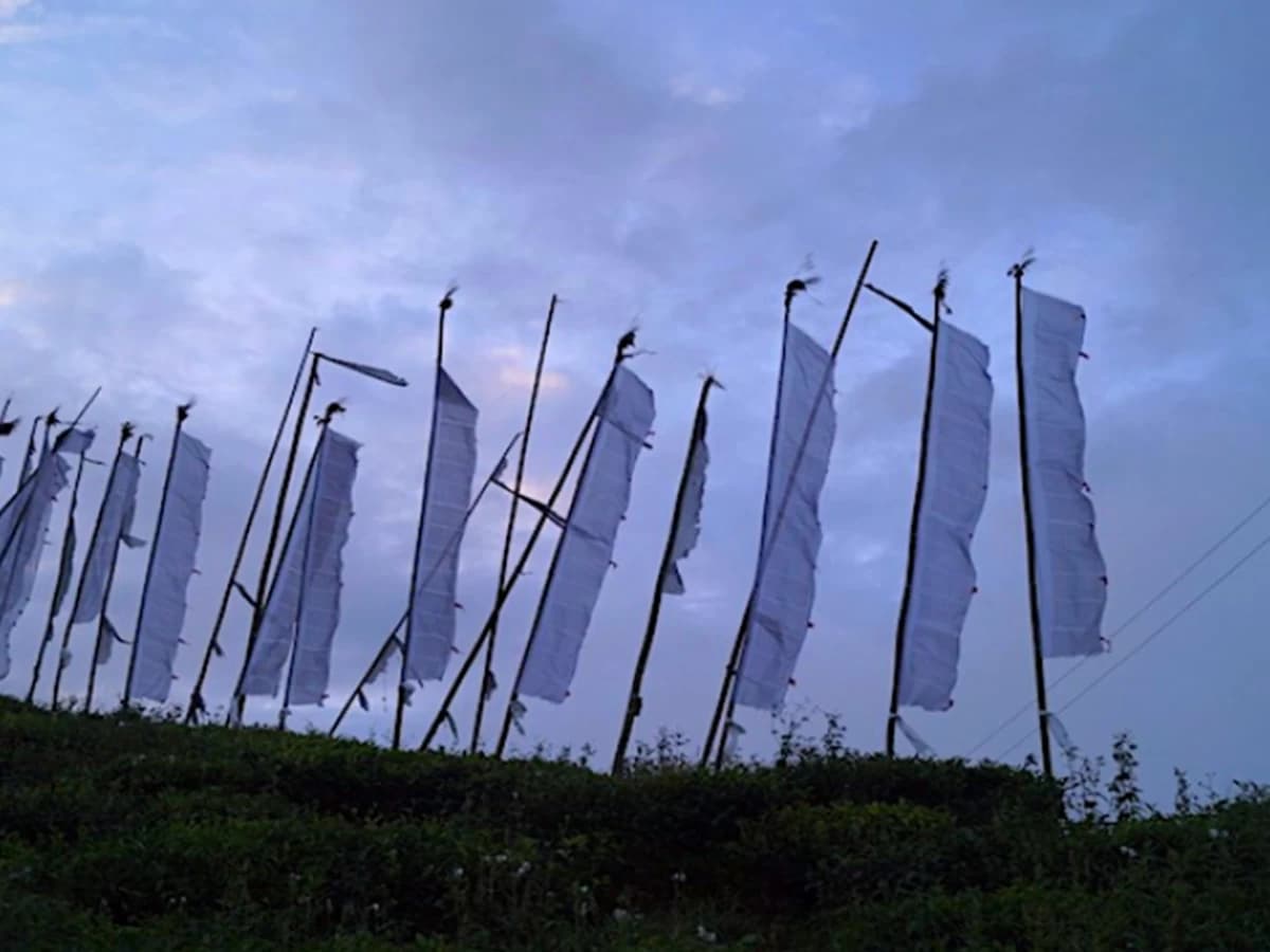 Takdah Tinchuley and Lamahatta Day Tour