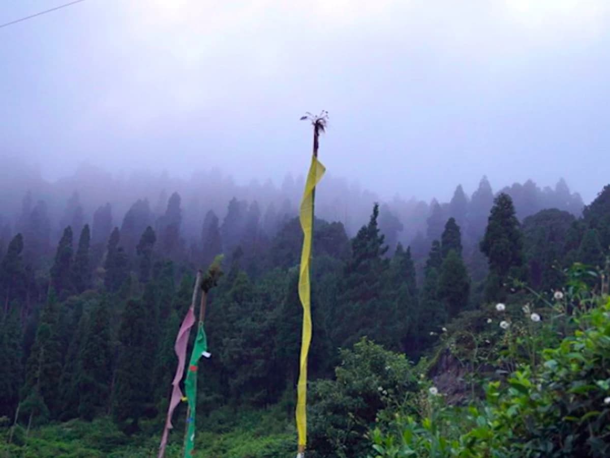 Takdah Tinchuley and Lamahatta Day Tour