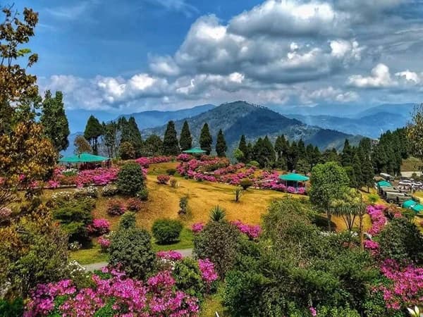 Darjeeling to Kalingpong Day Trip