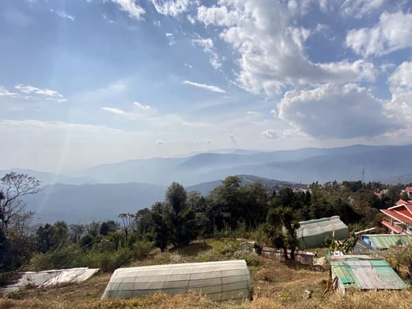 Darjeeling Senchal Wildlife Sanctuary Sonada Hike - 1 Day