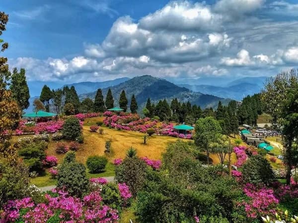 Alimpong Eolo Ill