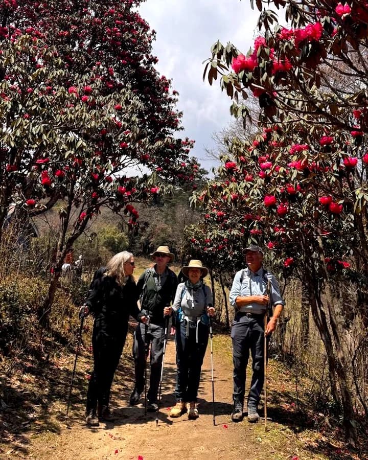 Singalila Ridge Trek in Spring Season