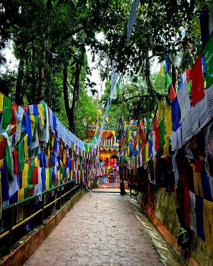 Local Cultural Walk