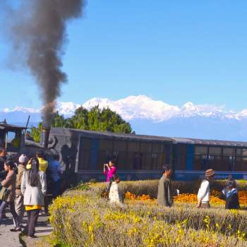 Darjeeling Himalayan Railway ( Toy Train Ride )