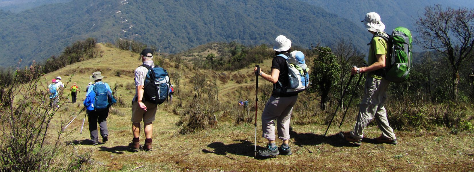 Exciting News for Trekkers : Sandakphu Singalila Ridge Trek Reopens on September 15, 2024!